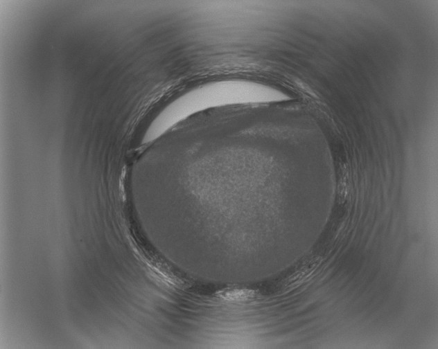 X0000056350452200509232110