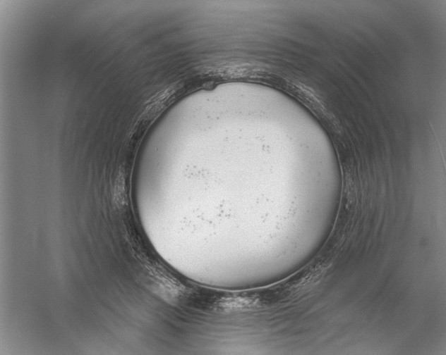 X0000056350453200509232110