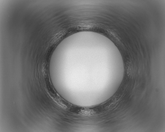 X0000056350455200509232110