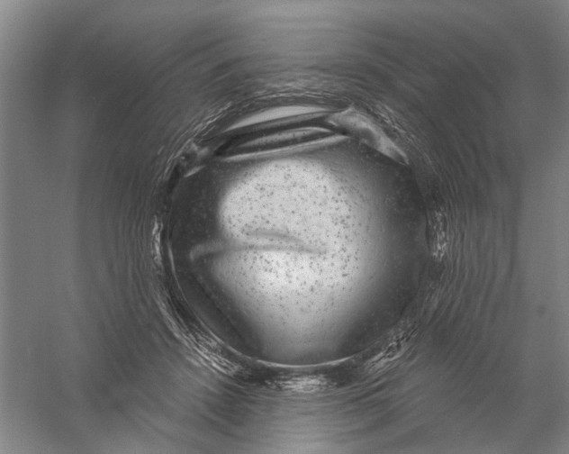 X0000056350456200509232110