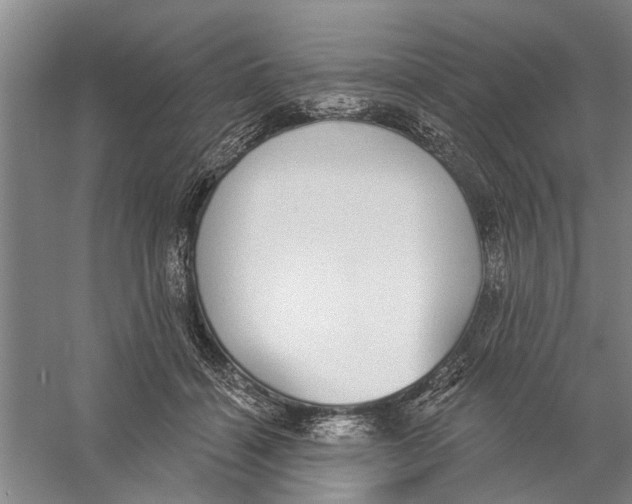 X0000056350460200509232110