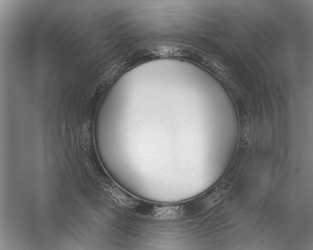 X0000056350461200509232110