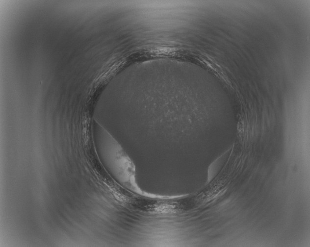 X0000056350462200509232110