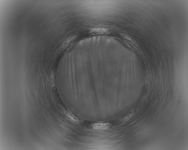 X0000056350465200509232110