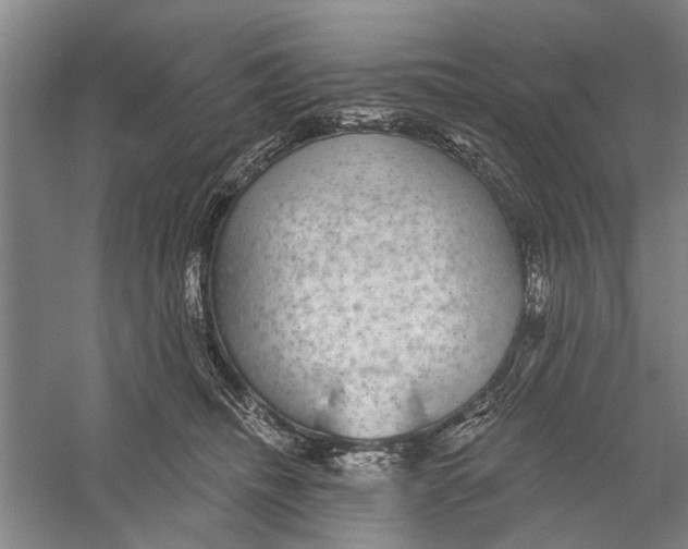 X0000056350468200509232110