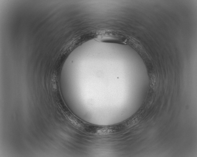 X0000056350470200509232110