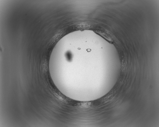 X0000056350474200509232110