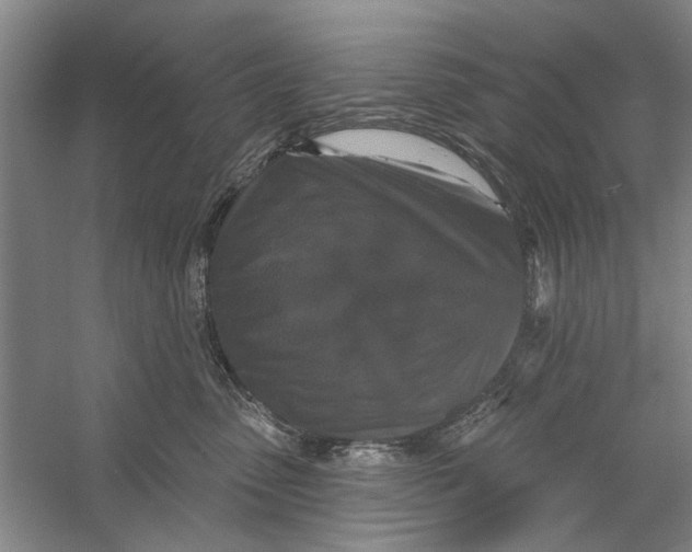 X0000056350475200509232110