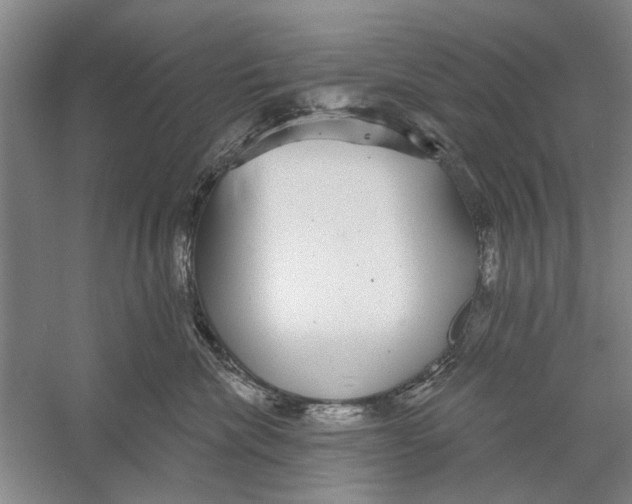 X0000056350476200509232110