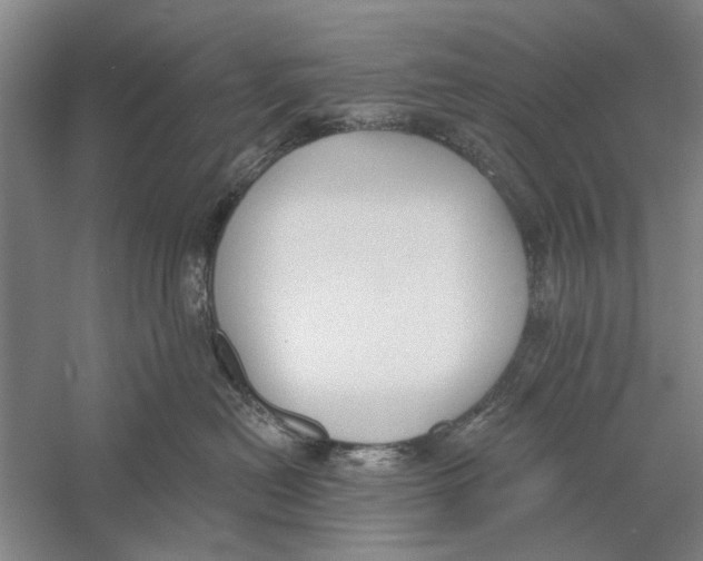 X0000056350478200509232110