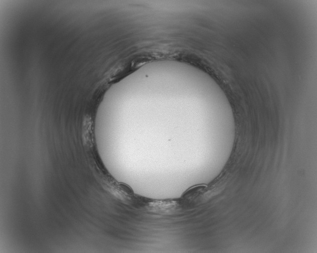 X0000056350480200509232110