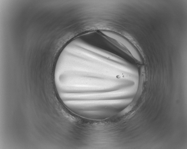 X0000056350481200509232109