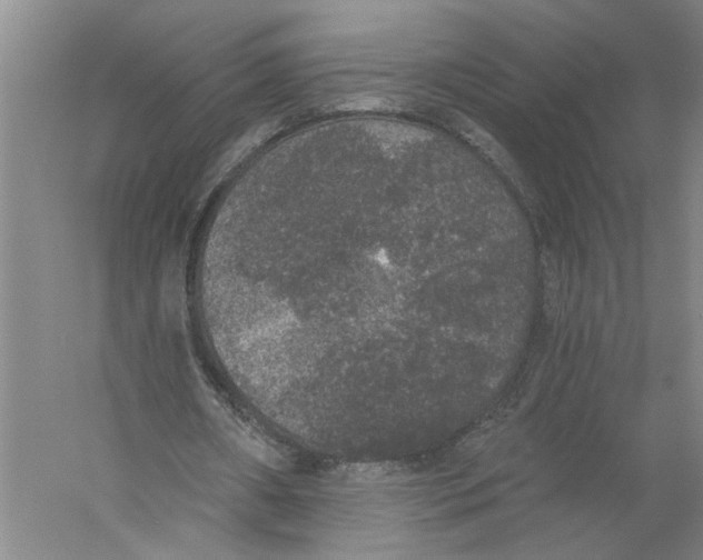 X0000056350482200509232109