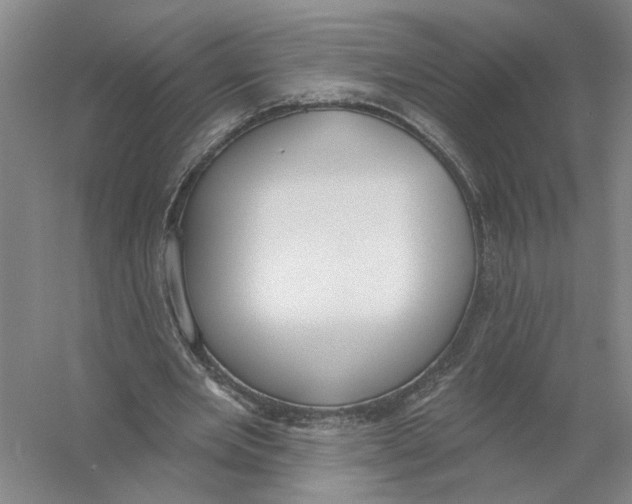 X0000056350485200509232109