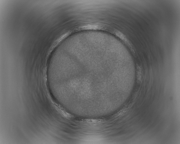 X0000056350486200509232109