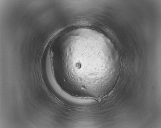 X0000056350487200509232109