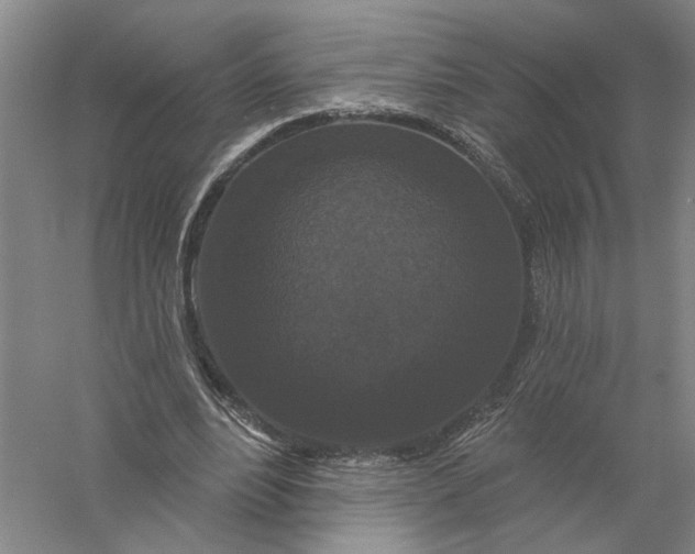 X0000056350488200509232109