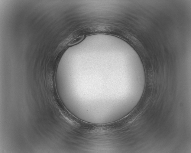 X0000056350489200509232109