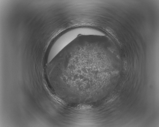 X0000056350491200509232109