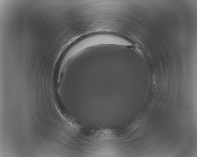 X0000056350492200509232109