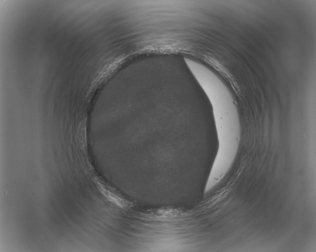 X0000056350493200509232109