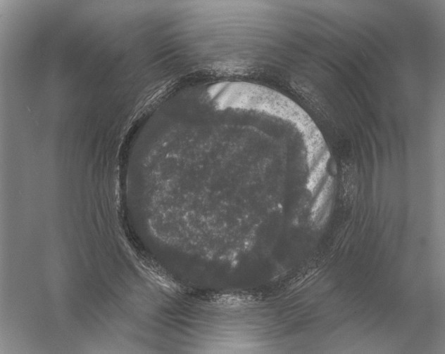 X0000056350494200509232109