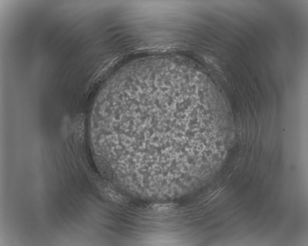 X0000056350495200509232109