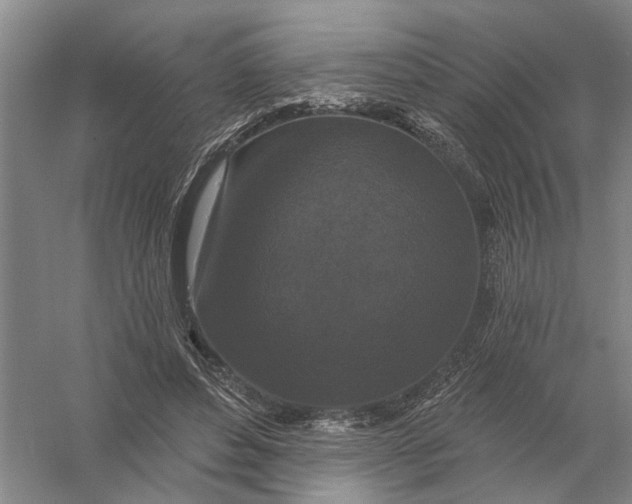 X0000056350496200509232109