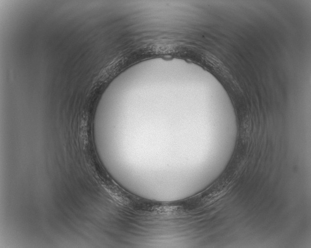 X0000056350497200509232109