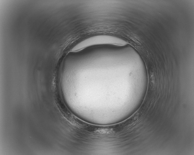 X0000056350499200509232109