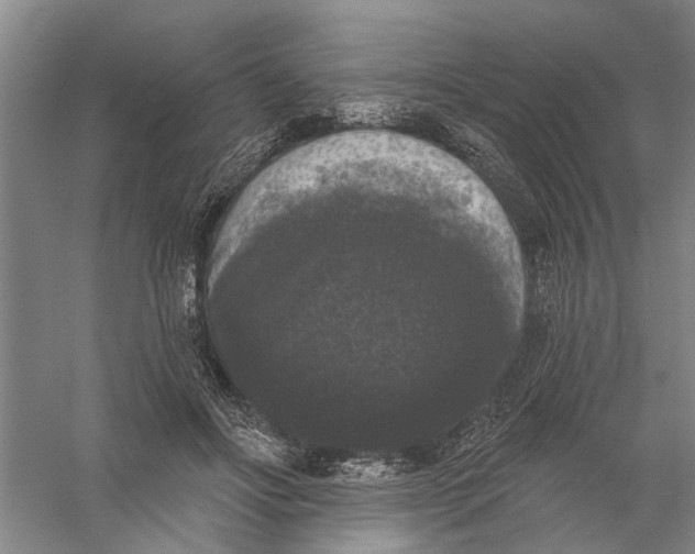 X0000056350502200509232109