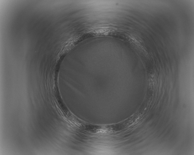 X0000056350504200509232109