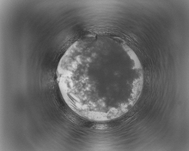 X0000056350507200509232109