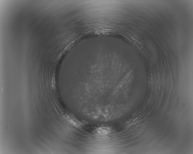 X0000056350508200509232109