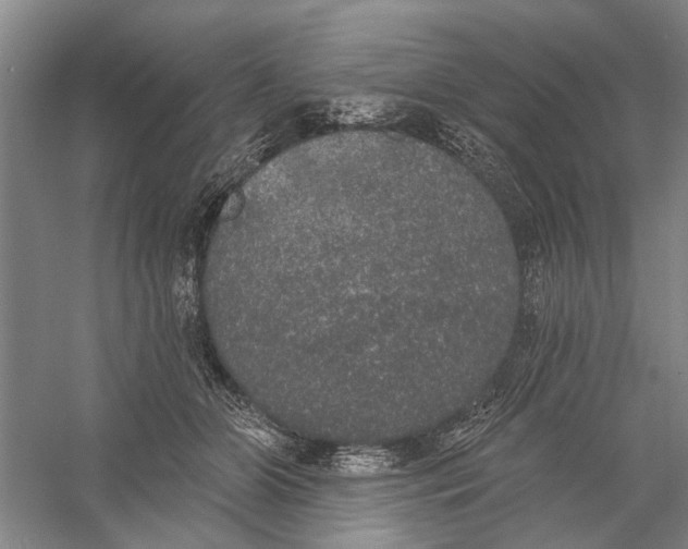 X0000056350510200509232109