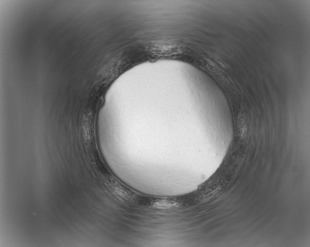 X0000056350515200509232109