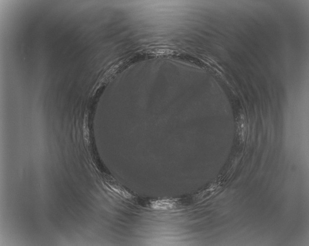 X0000056350516200509232109