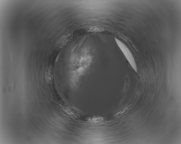 X0000056350517200509232109