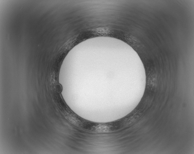 X0000056350518200509232109