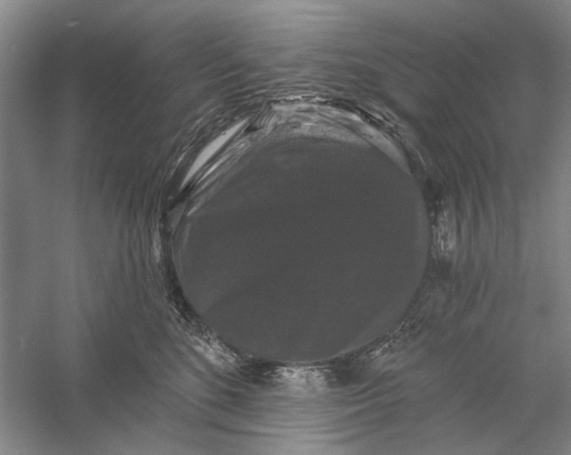 X0000056350520200509232109