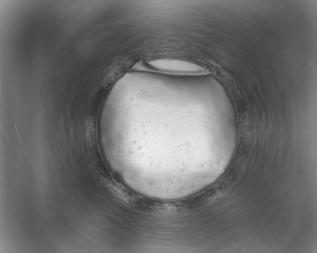 X0000056350523200509232108