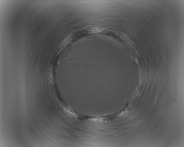 X0000056350524200509232108