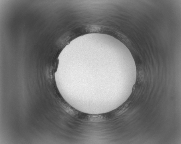 X0000056350525200509232108