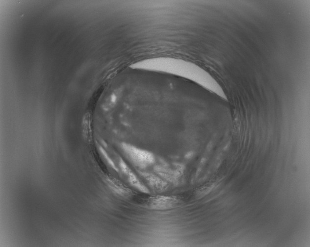 X0000056350527200509232108