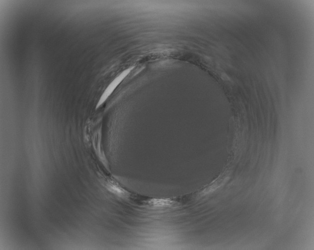 X0000056350528200509232108