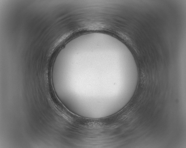 X0000056350535200509232108