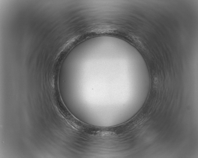 X0000056350539200509232108