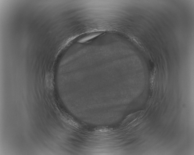 X0000056350540200509232108