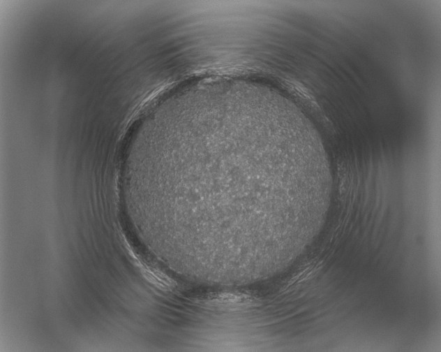 X0000056350542200509232108