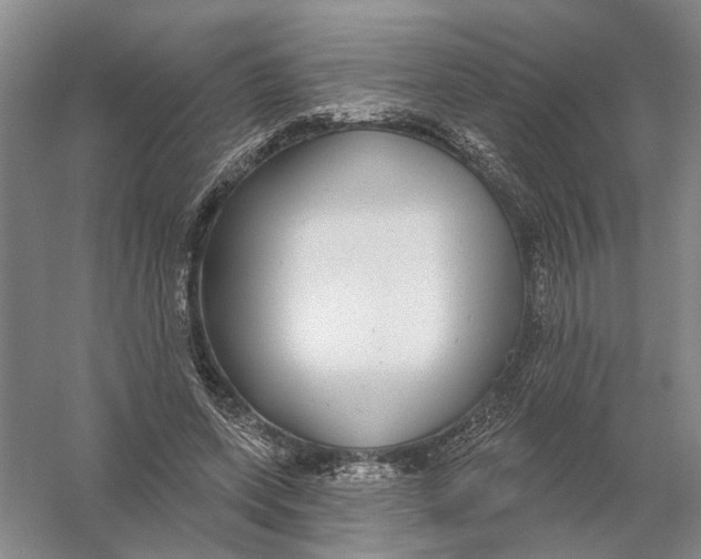 X0000056350543200509232108